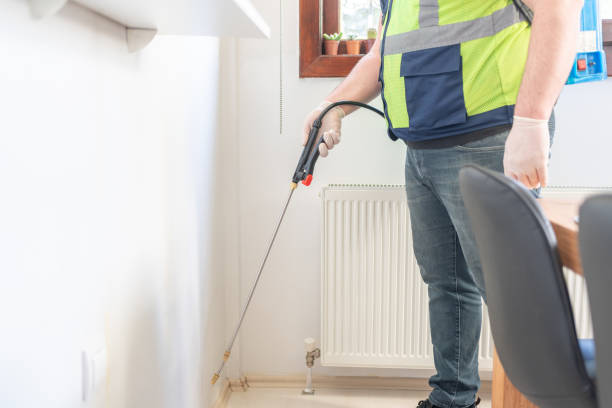 Best Flea Control Services  in Minot, ND