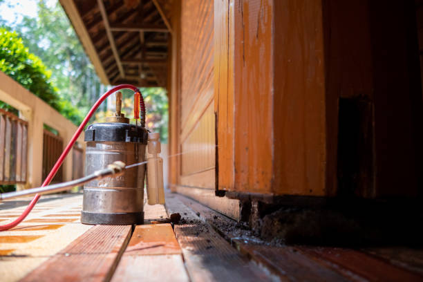 Pest Prevention Services in Minot, ND