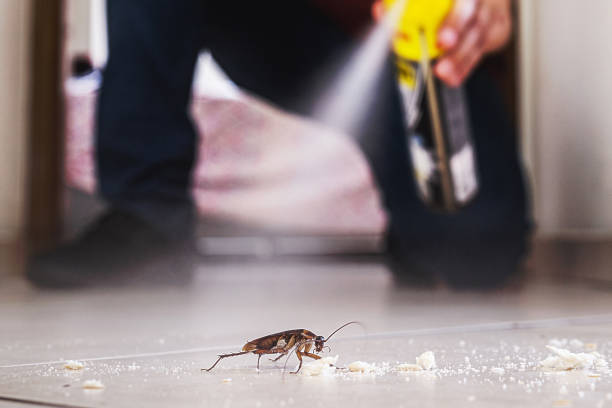 Professional Pest Control in Minot, ND